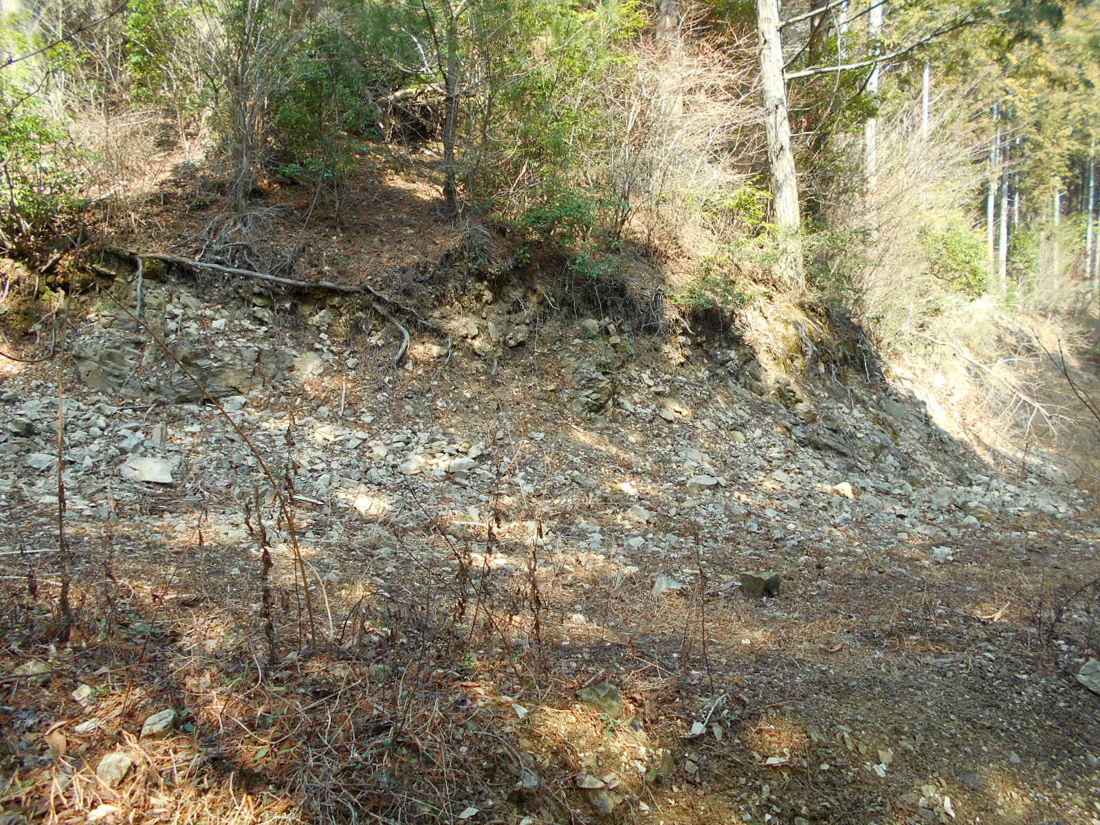 f0308898_1150282.jpg