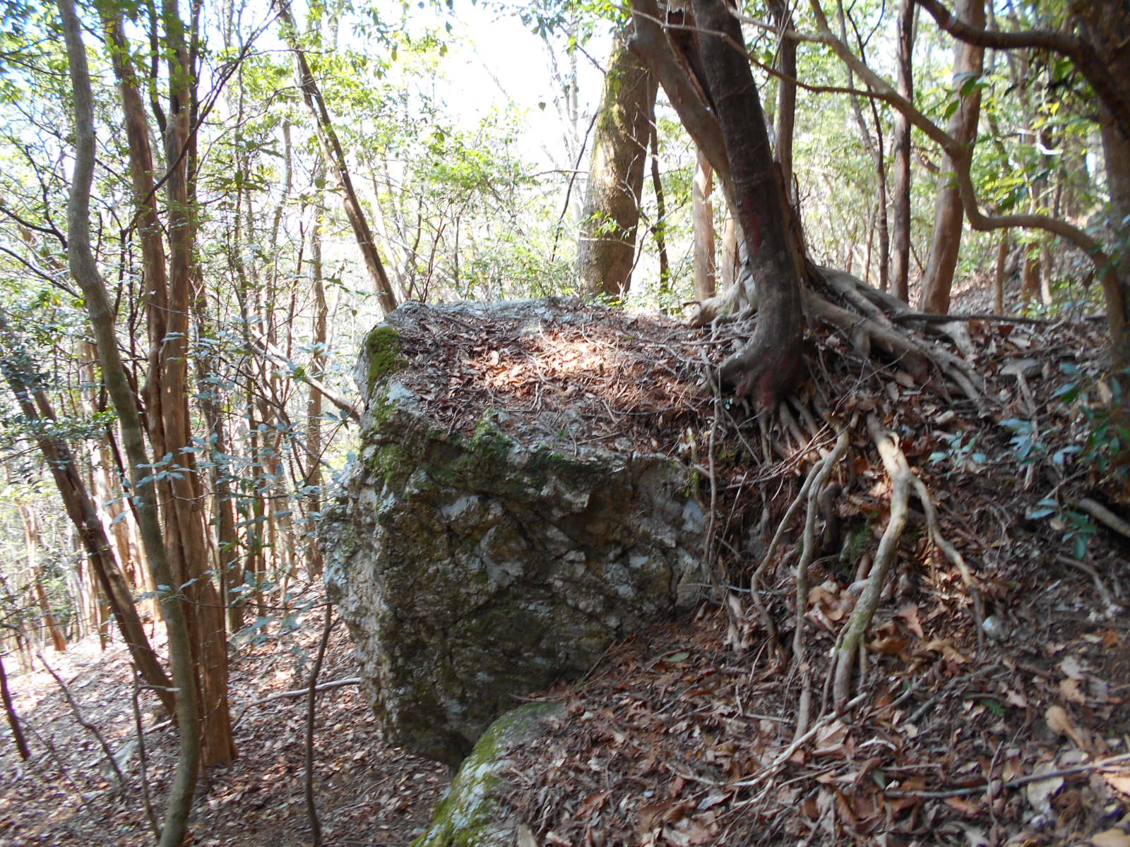 f0308898_11504429.jpg