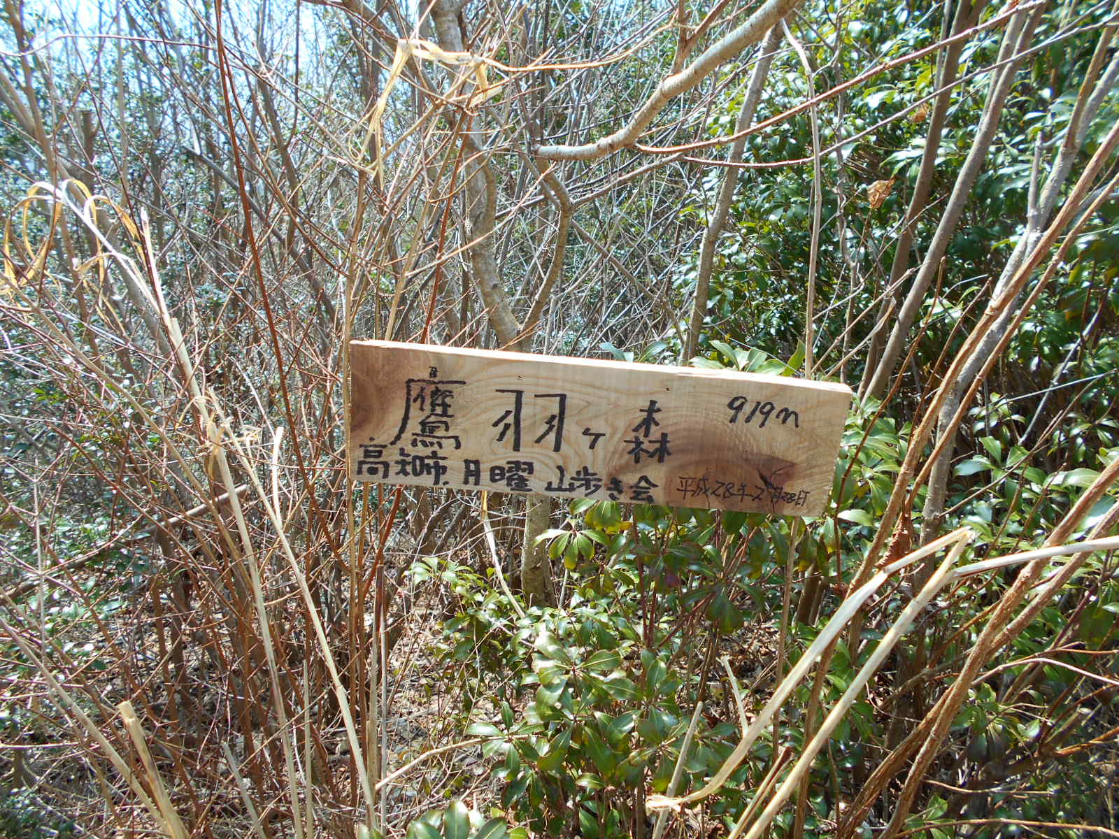f0308898_11505724.jpg
