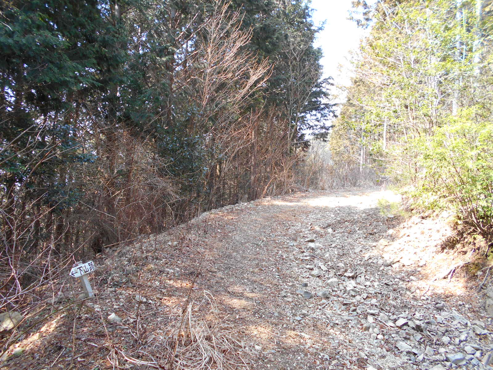 f0308898_1150898.jpg