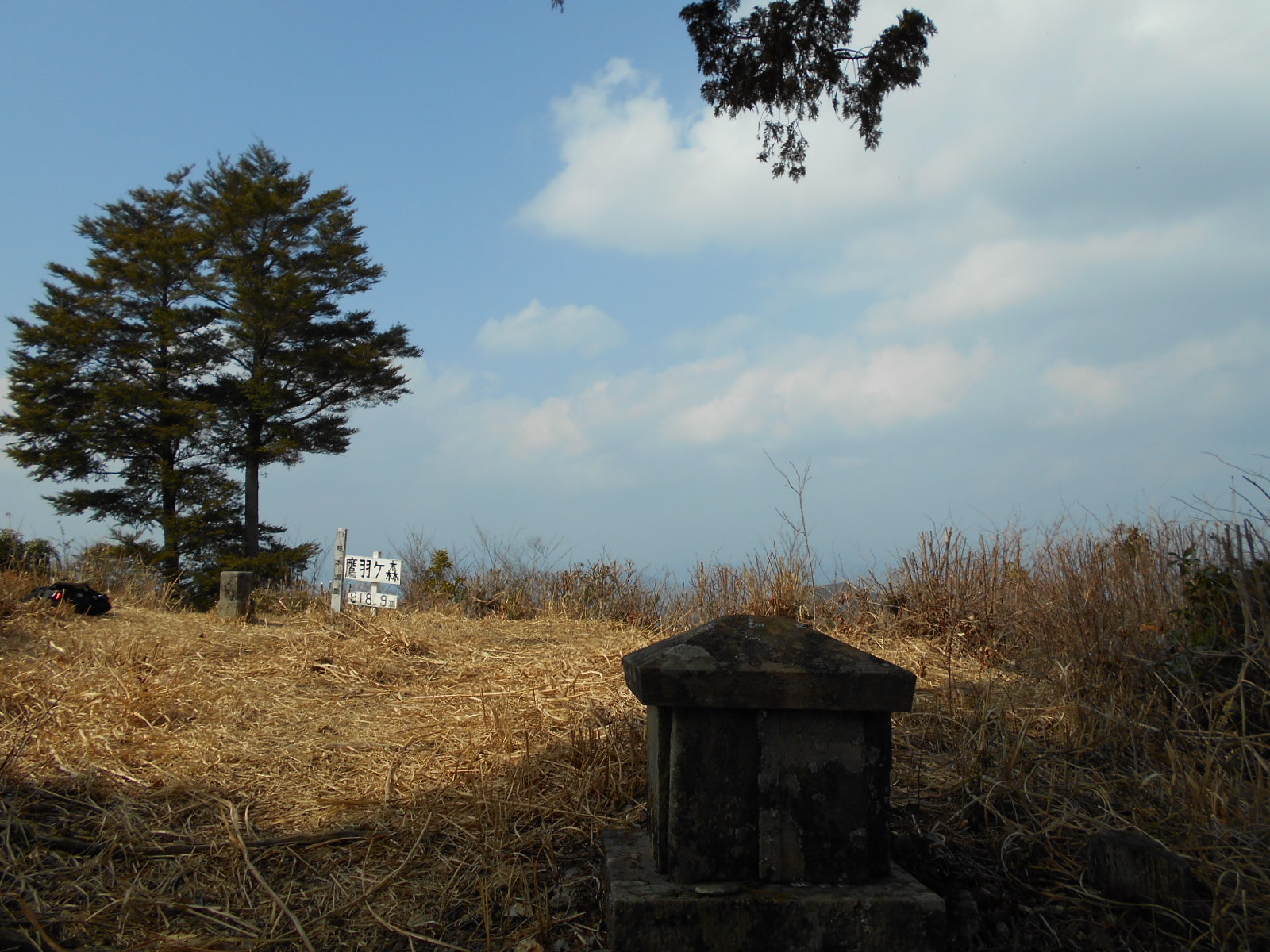 f0308898_11511042.jpg
