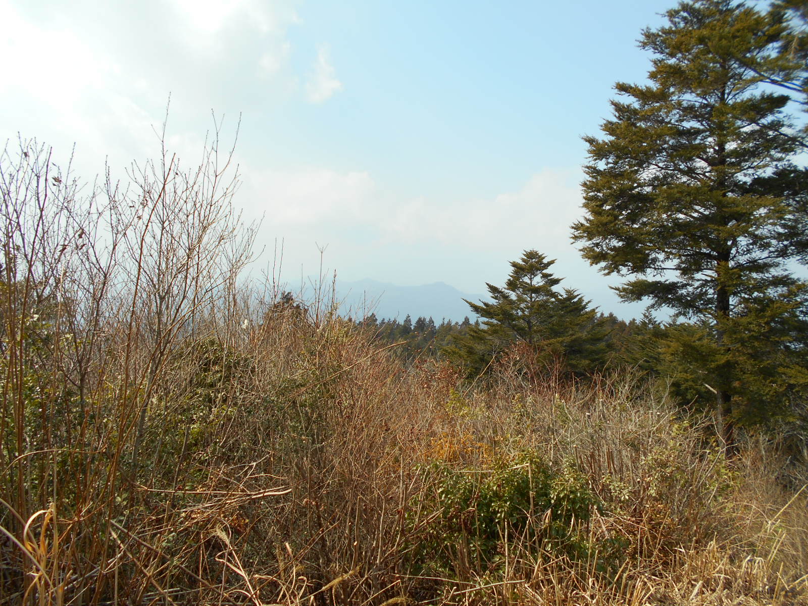 f0308898_11512933.jpg