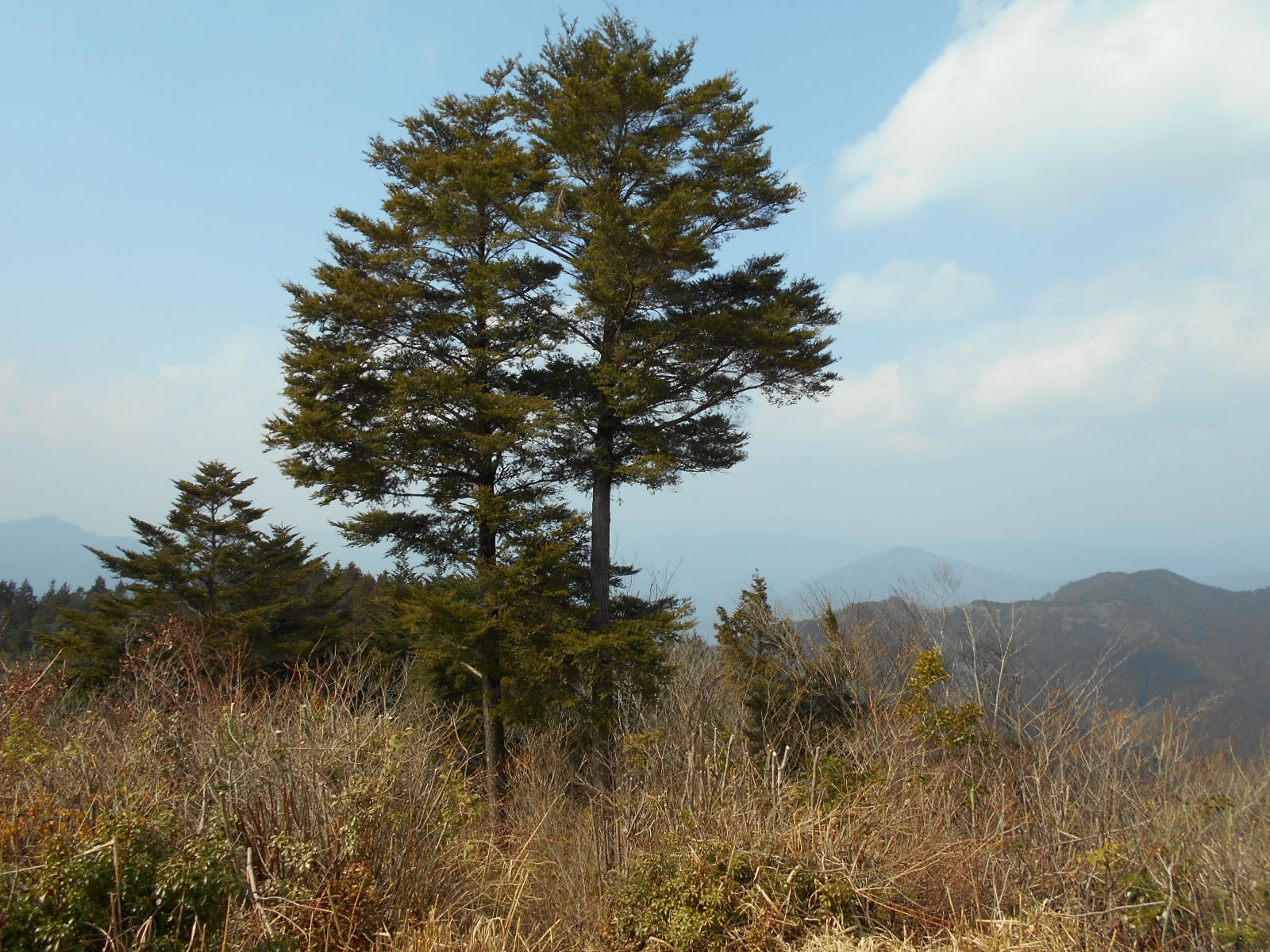f0308898_11513614.jpg