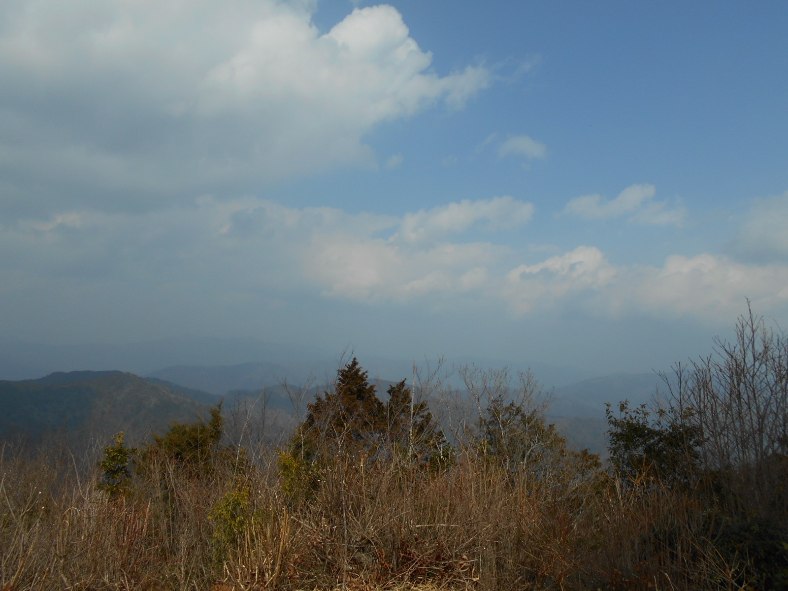 f0308898_1151591.jpg