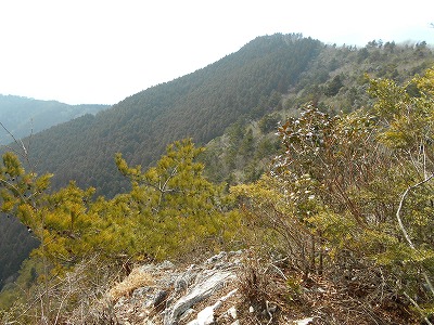 f0308898_11534443.jpg