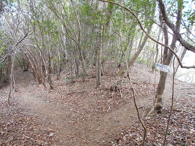 f0308898_11535754.jpg