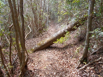 f0308898_11541096.jpg