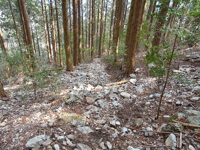 f0308898_11542566.jpg