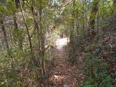 f0308898_11543349.jpg