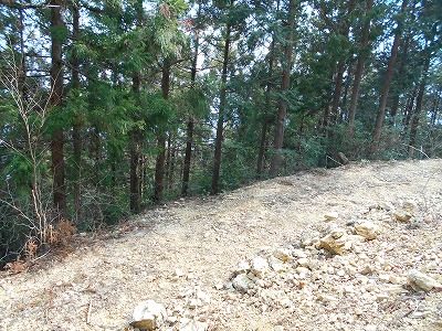 f0308898_11543954.jpg