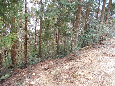 f0308898_11544685.jpg