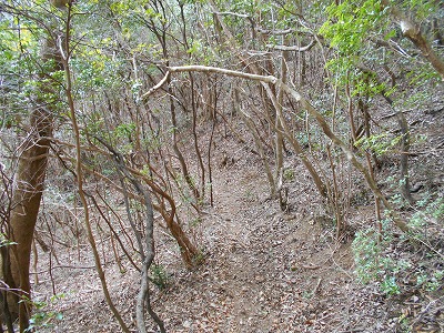 f0308898_1154484.jpg
