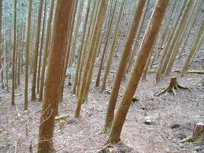 f0308898_11545246.jpg