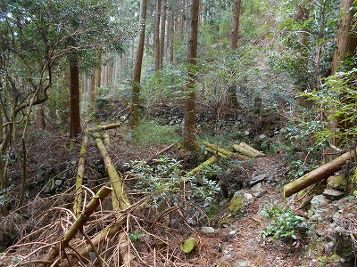 f0308898_11551645.jpg