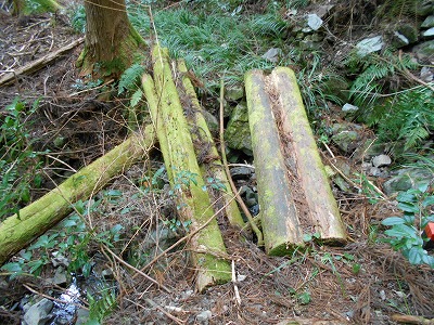 f0308898_11552218.jpg