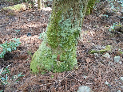 f0308898_11552818.jpg
