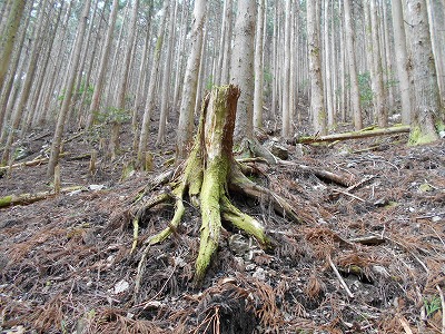 f0308898_1155353.jpg