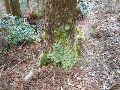 f0308898_11553612.jpg