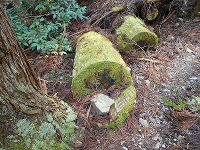 f0308898_11554286.jpg