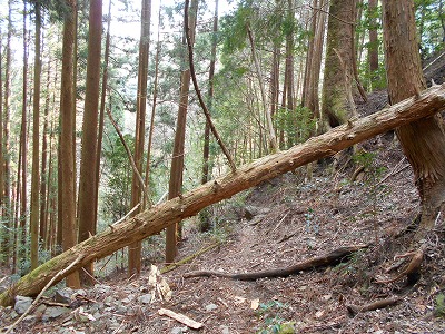 f0308898_11555871.jpg