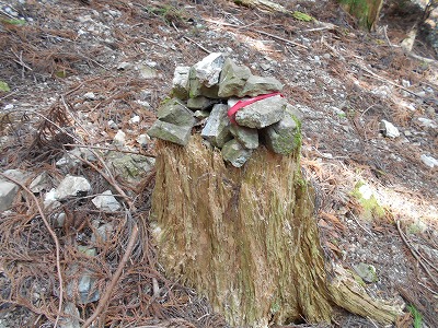f0308898_1155952.jpg