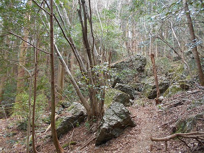 f0308898_11562233.jpg