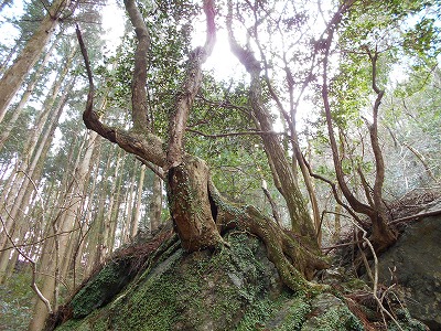 f0308898_11562813.jpg