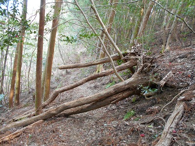 f0308898_1156356.jpg