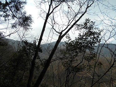 f0308898_11564525.jpg