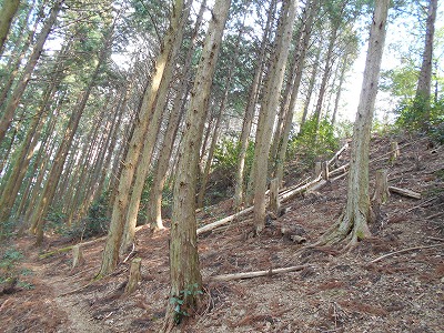 f0308898_11565139.jpg