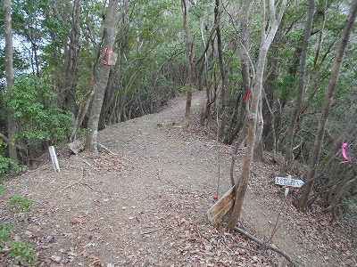 f0308898_11581131.jpg