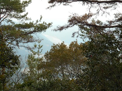 f0308898_1158381.jpg