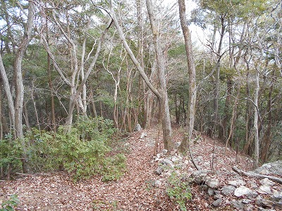 f0308898_1158492.jpg