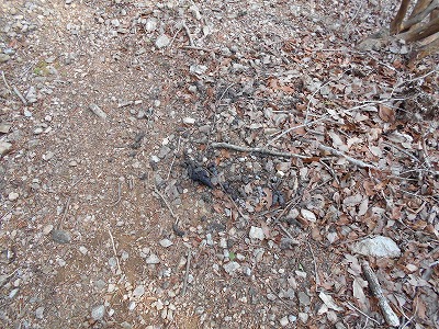 f0308898_11585544.jpg