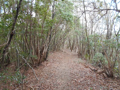 f0308898_1158558.jpg