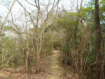 f0308898_1159149.jpg