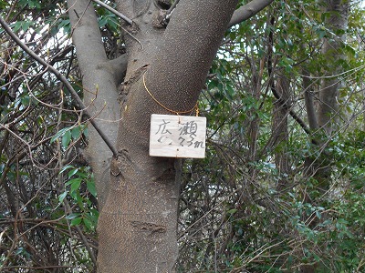 f0308898_11594047.jpg