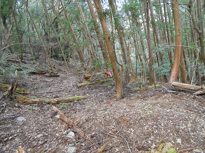 f0308898_11595387.jpg
