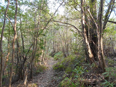 f0308898_11595934.jpg
