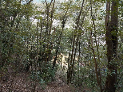 f0308898_120119.jpg