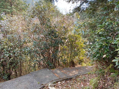 f0308898_1201945.jpg