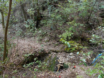 f0308898_120599.jpg