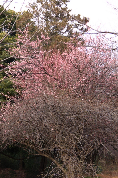 d0248502_06543023.jpg