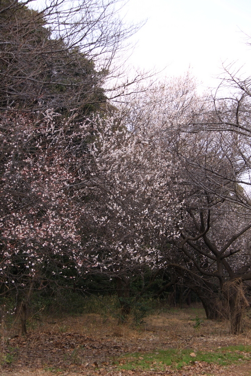 d0248502_06543757.jpg