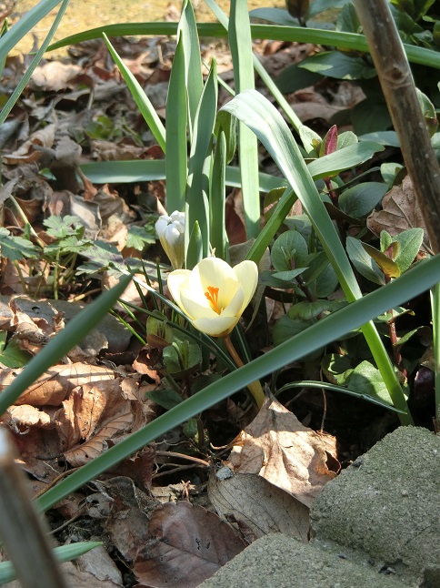 e0234004_19422014.jpg