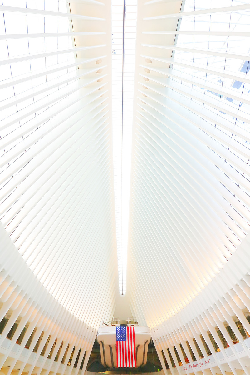 Oculus is opened in World Trade Center Transit Hub._a0274805_02281335.jpg