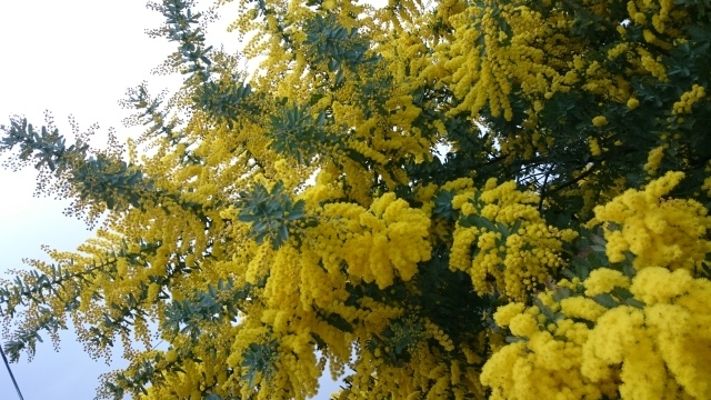 a0136507_23163043.jpg