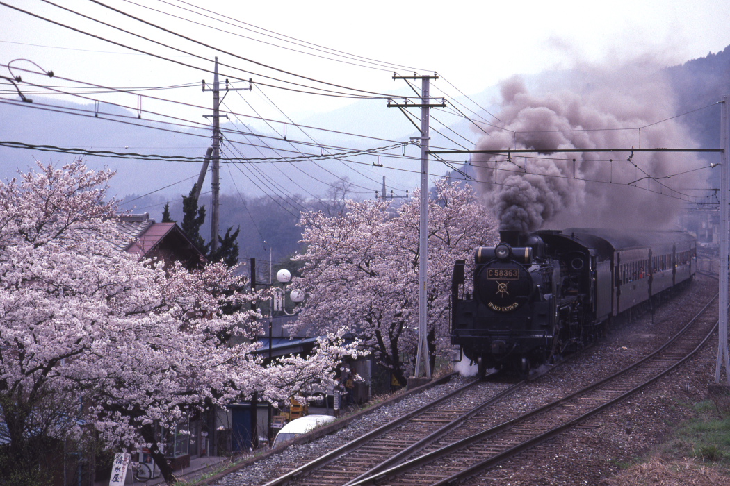 雨桜 - 秩父鉄道 - _b0190710_2365767.jpg