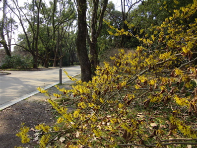a0164011_18301467.jpg
