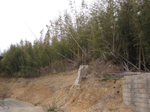 e0293913_15415967.jpg
